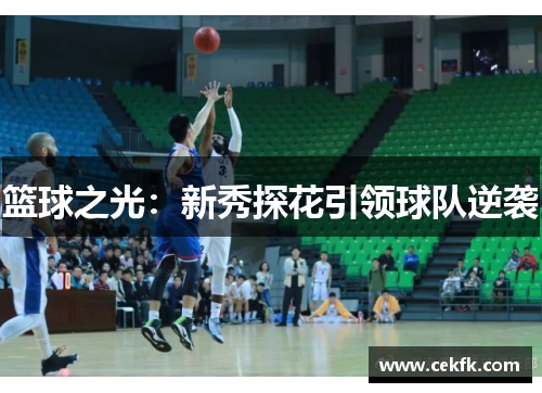 篮球之光：新秀探花引领球队逆袭