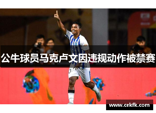 公牛球员马克卢文因违规动作被禁赛